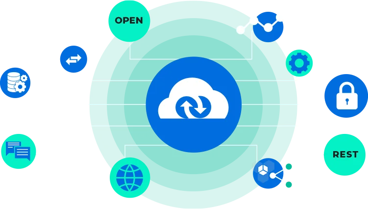 Api Integration Web Page structure